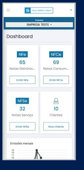 Tela Dash Empresa do sistema Emita Go